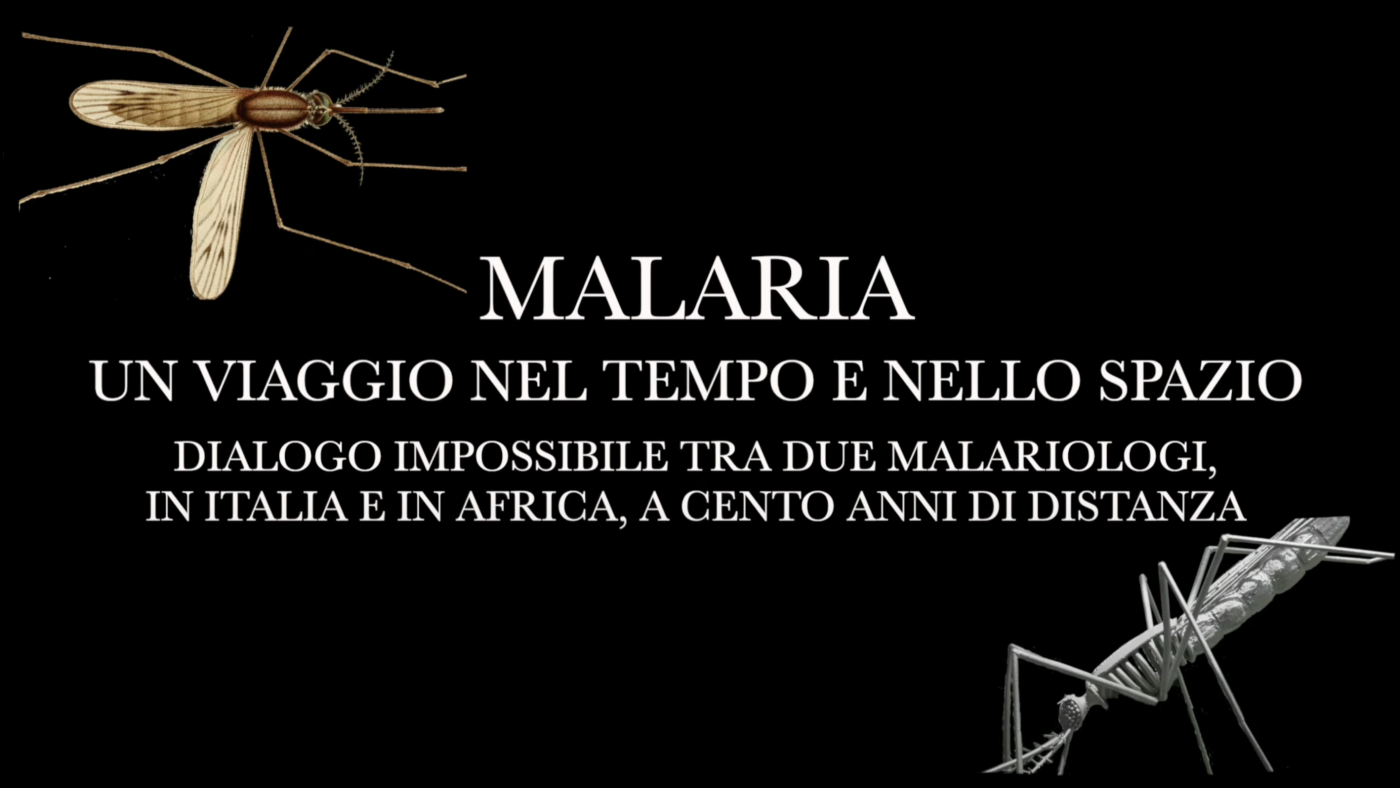 articolo_malaria